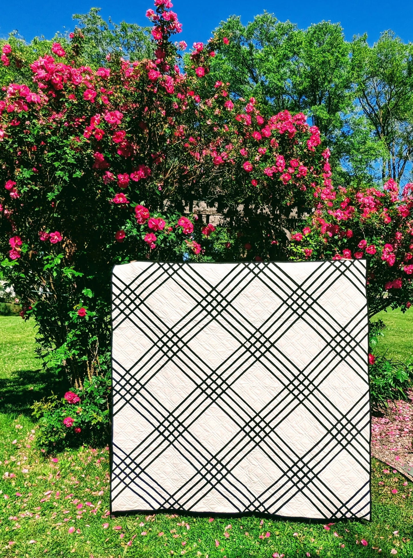 Lochlyn Quilt Pattern - Pack of 3 - M112